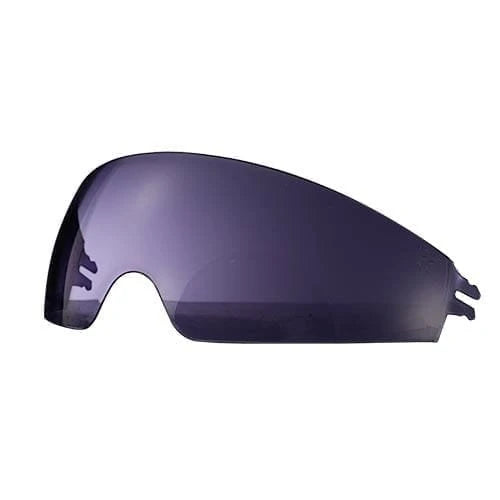 FF806 SUN VISOR TINTED